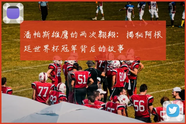 潘帕斯雄鹰的两次翱翔:揭秘阿根廷世界杯冠军背后的故事