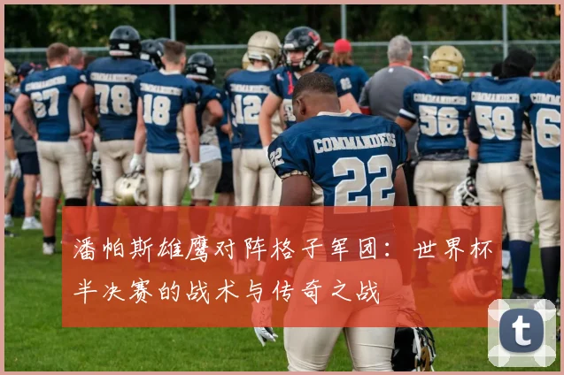 潘帕斯雄鹰对阵格子军团:世界杯半决赛的战术与传奇之战