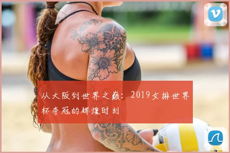 从大阪到世界之巅：2019女排世界杯夺冠的辉煌时刻