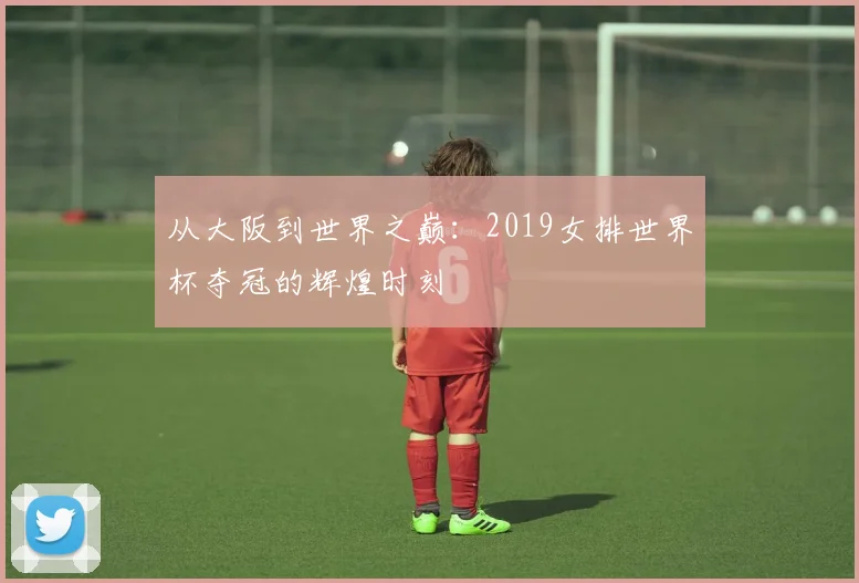 从大阪到世界之巅：2019女排世界杯夺冠的辉煌时刻