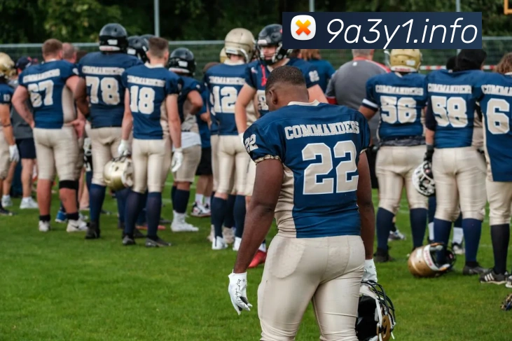 九游体育手机官网平台生态图