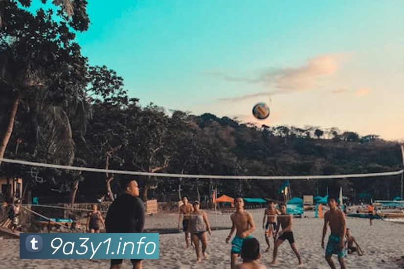 九游体育手机官网APP 封面图