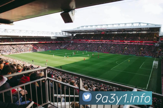 体育数据展示